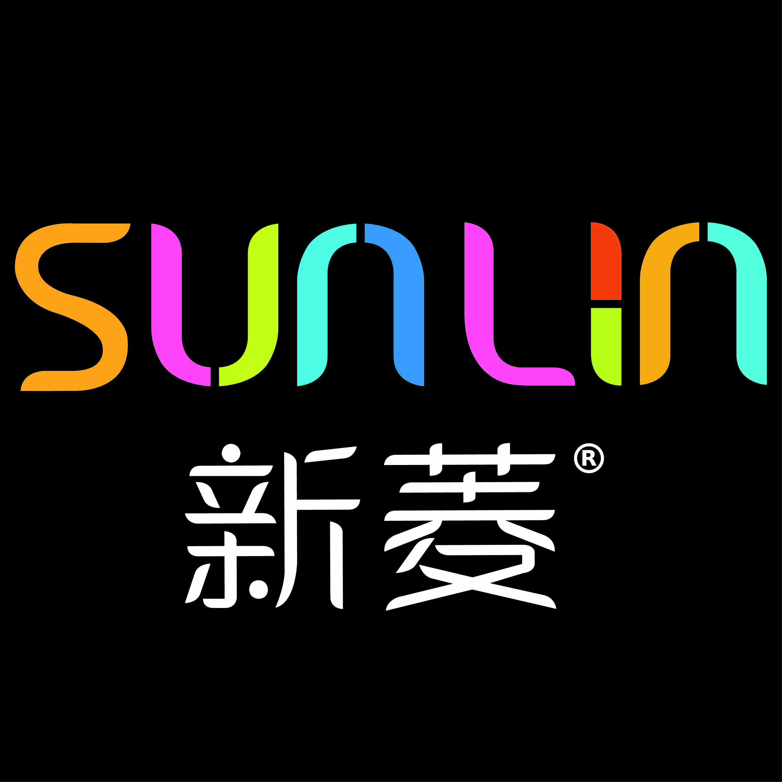 JINJIANG SUN LIN ELECTRONIC CO., LTD. logo