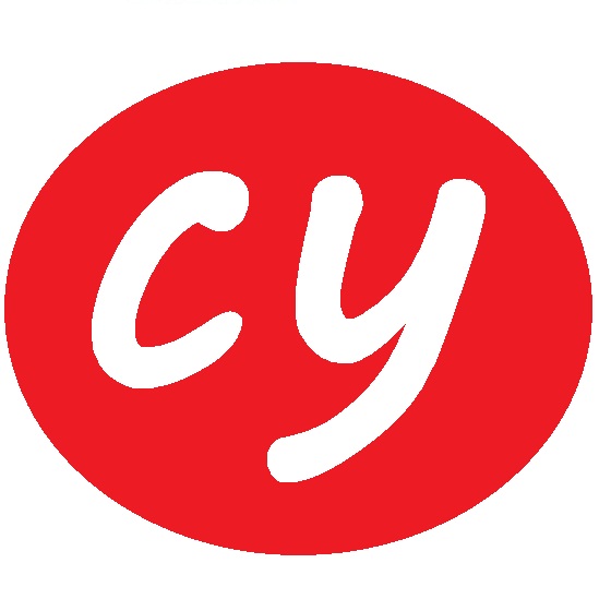 WUJIANG CENYI TEXTILE COM.,LTD logo
