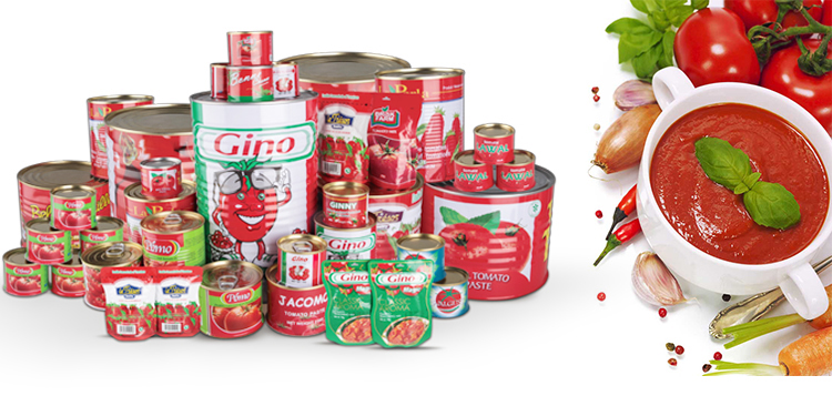 XINJIANG GUANNONG TOMATO PRODUCTS CO., LTD. logo