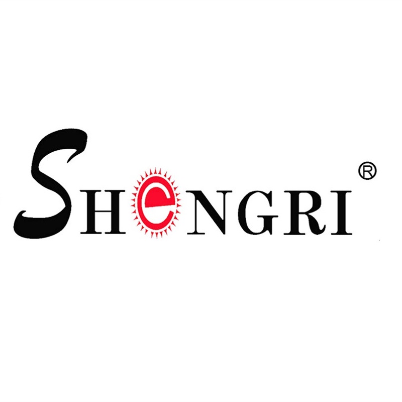 SHENGRI INTELLIGENT TECHNOLOGY (HEBEI) CO.,LTD. logo