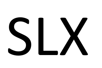 GUANGZHOU SHENGLAIXIN LEATHER CO.,LTD logo