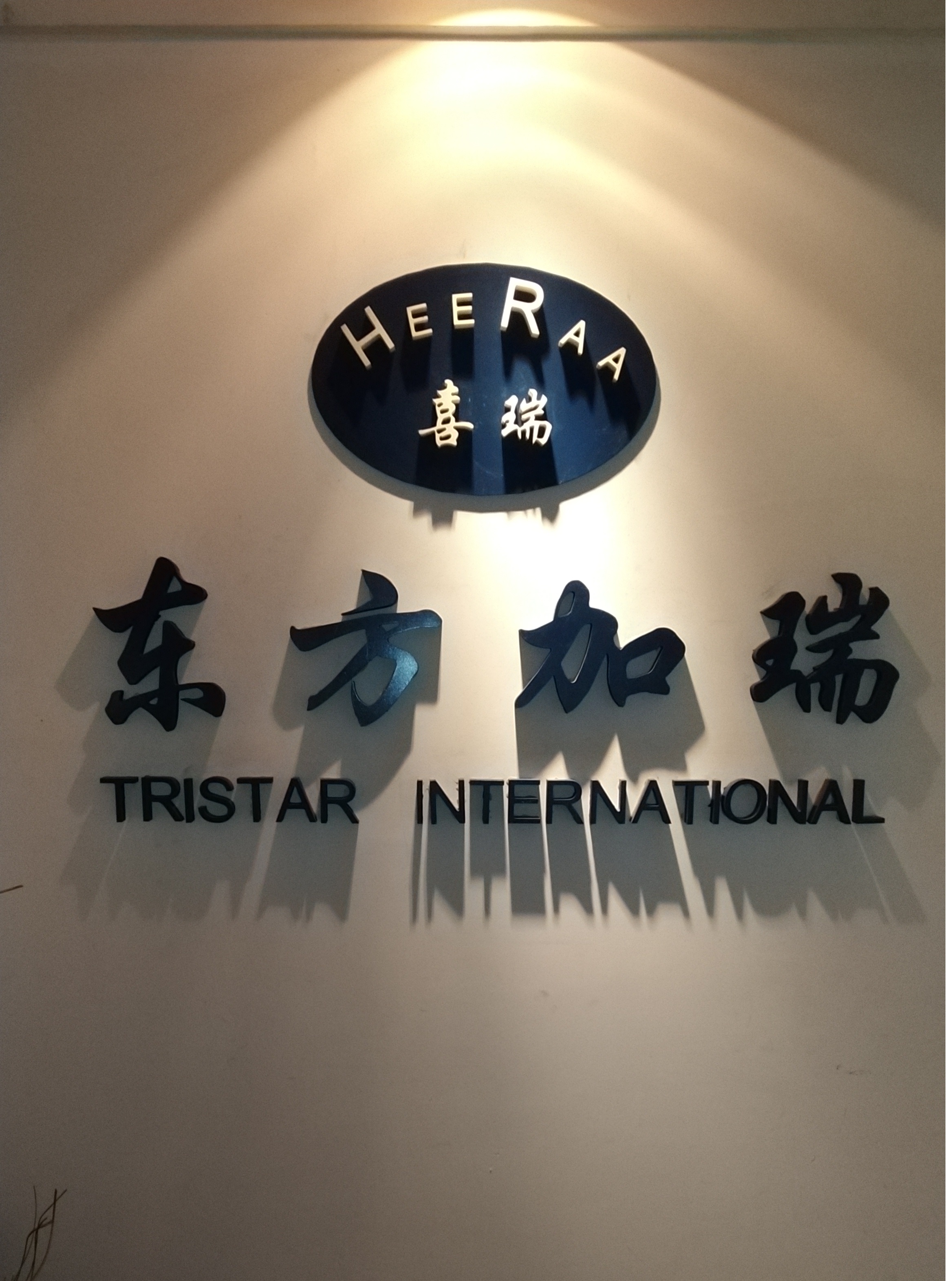 TRISTAR INTERNATIONAL logo