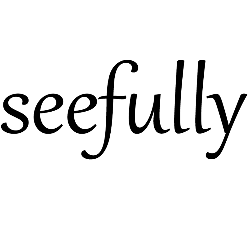 Qixian Seefully Glass Co,Ltd logo