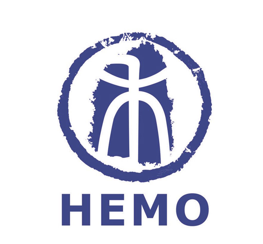 HEFEI HEMO IMPORT AND EXPORT COMPANY LIMITED logo