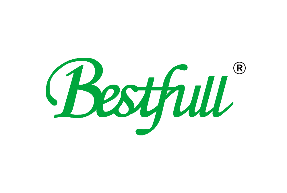 Jiangsu Bestfull Technology Co., Ltd logo