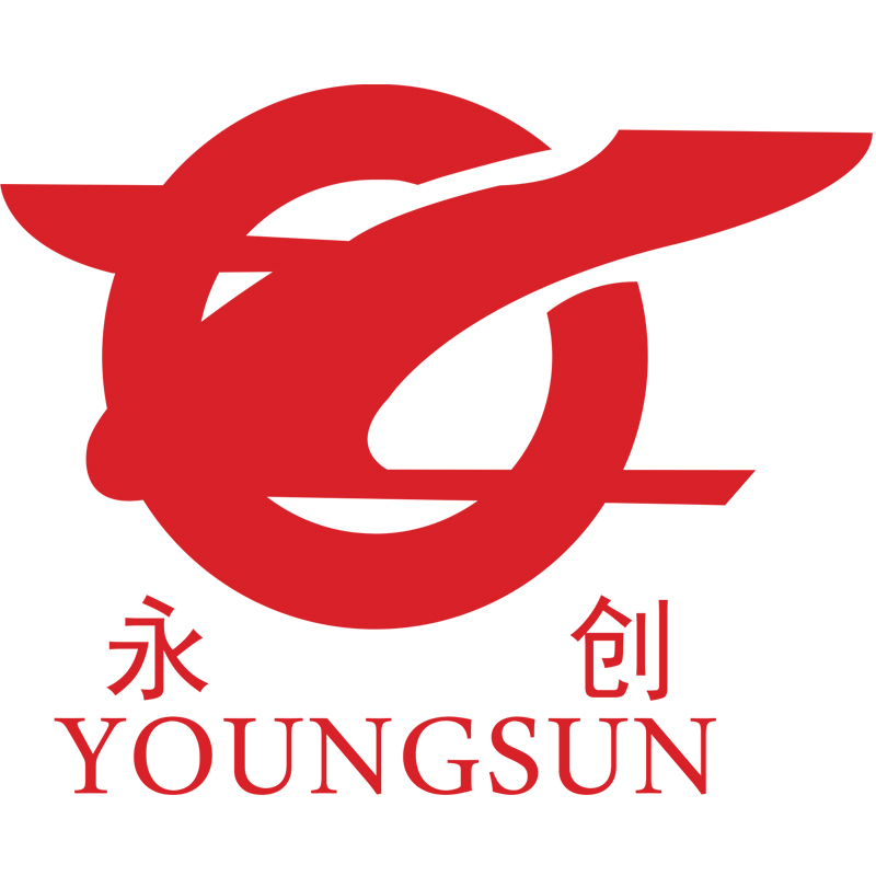 Hangzhou Youngsun Intelligent Equipment Co.,Ltd logo