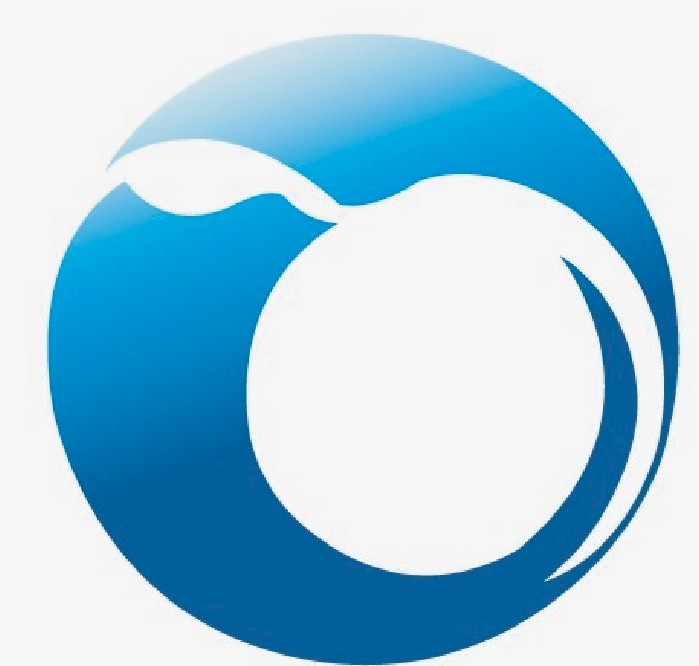 NANJING HENGRUN HONGSU IMP.&EXP. CO.,LTD logo