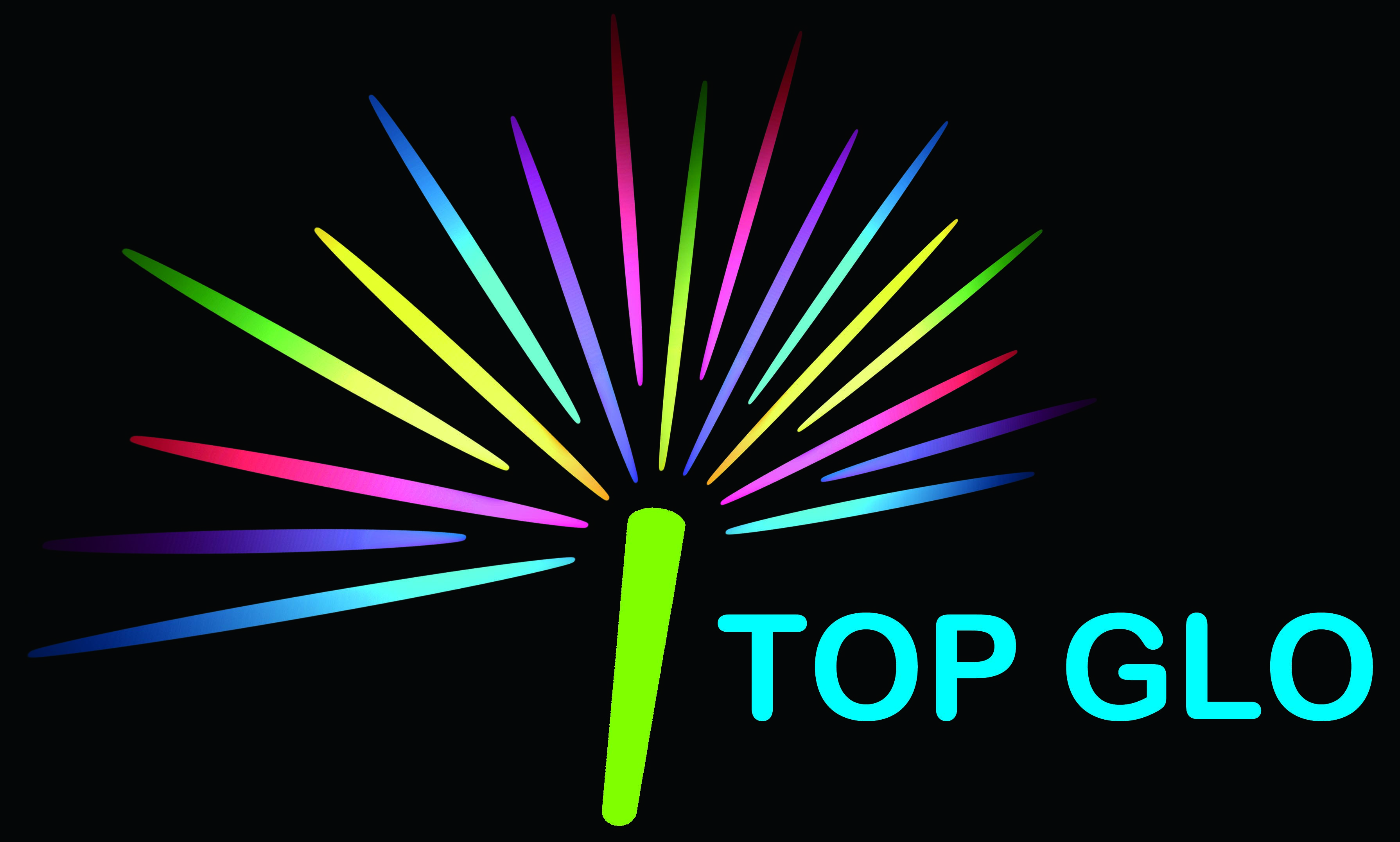 Zhangzhou Top Brite Industry Trade Co.,Ltd logo