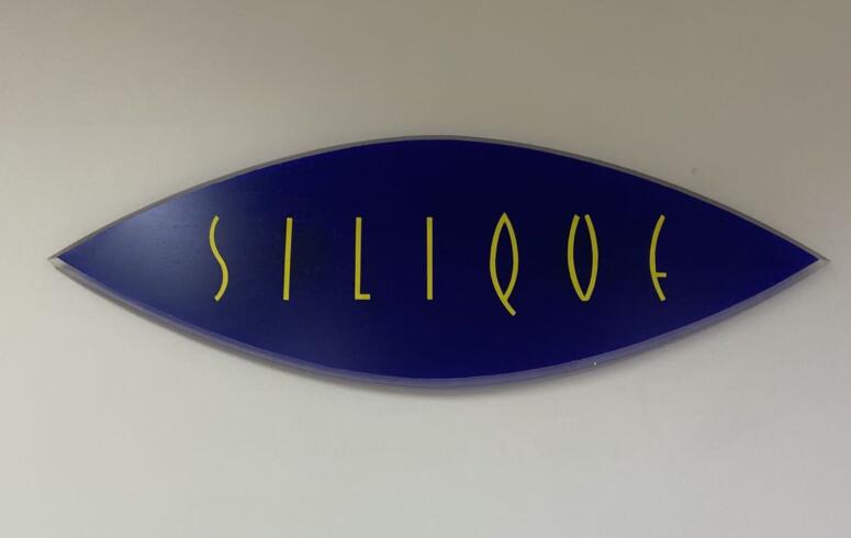 GUANGDONG SILK GROUP FORTUNE CO.,LTD logo