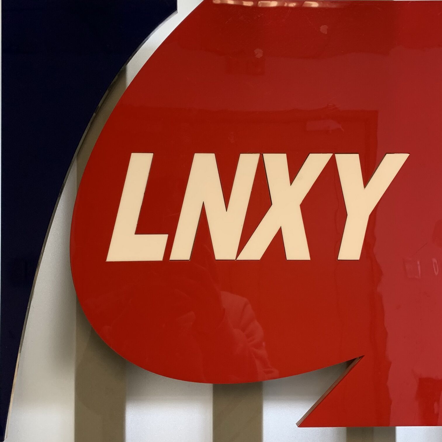 LIAONING XINGYE IMP&EXP .CO.,LTD logo
