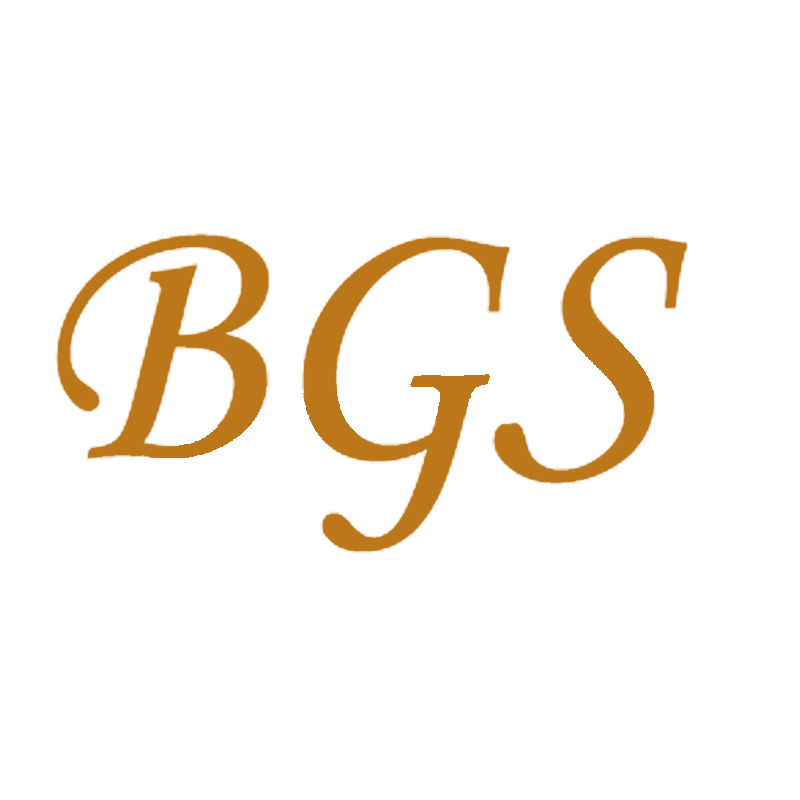 SHANGHAI BGS ENTERPRISE DEVELOPMENT CO., LTD. logo
