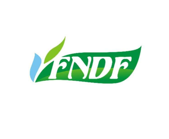 FUNAN DONGFANG ARTS&CRAFTS CO.,LTD logo