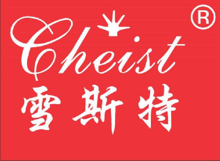 JIANGXI CHEIST INDUSTRIAL DEVELOPMENT CO., LTD. logo