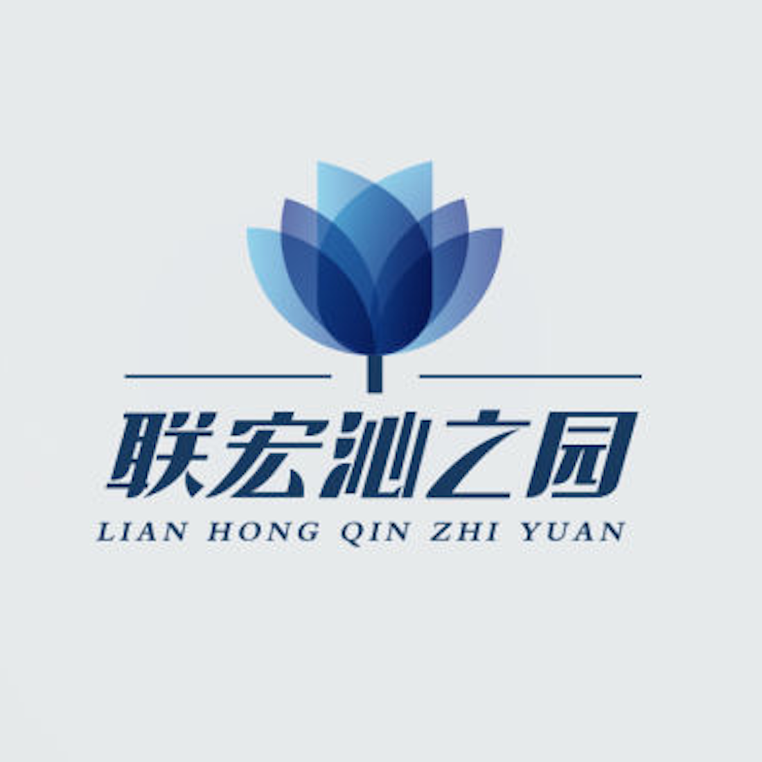 SHANTOU LIAN HONG PLASTIC HARDWARE PRODUCTS CO.,LTD logo