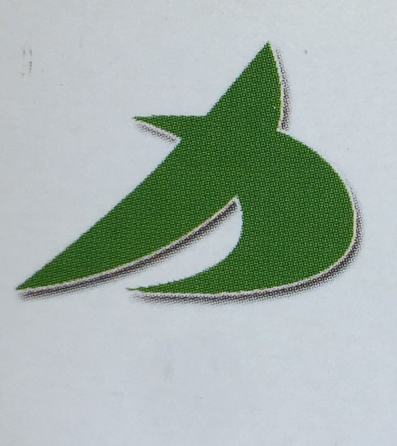 ZIBO NEW TRADING CO.,LTD. logo