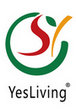 DONGTAI BISHENG TRADE CO.,LTD. logo