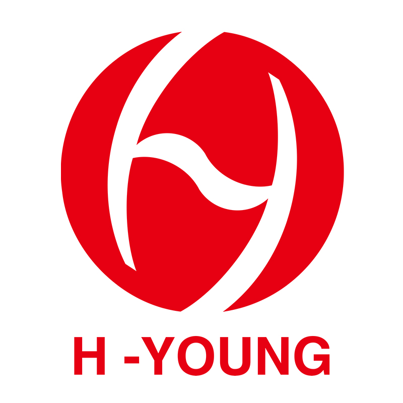 HANGZHOU H-YOUNG LIGHTS CO.,LTD logo