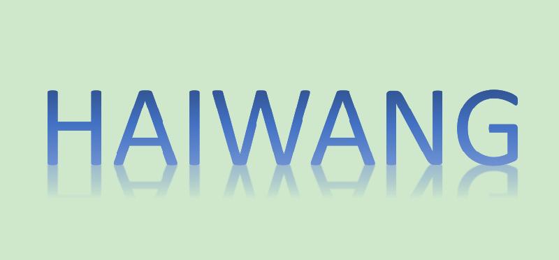 ANQIU HAIWANG SHOES & HAT GARMENT CO LTD logo