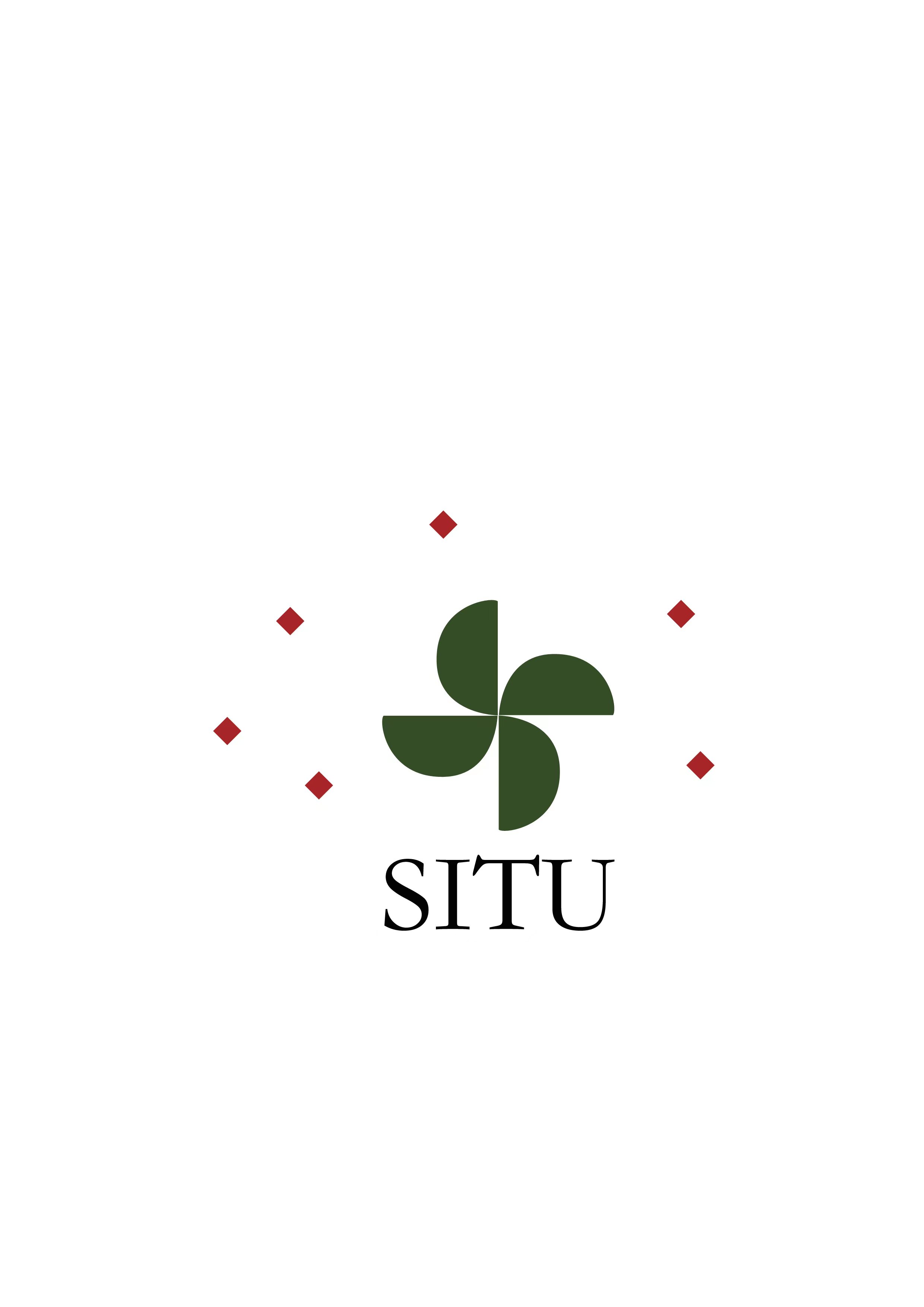 TAIZHOU SITU IMP.&EXP.CORPORATION logo