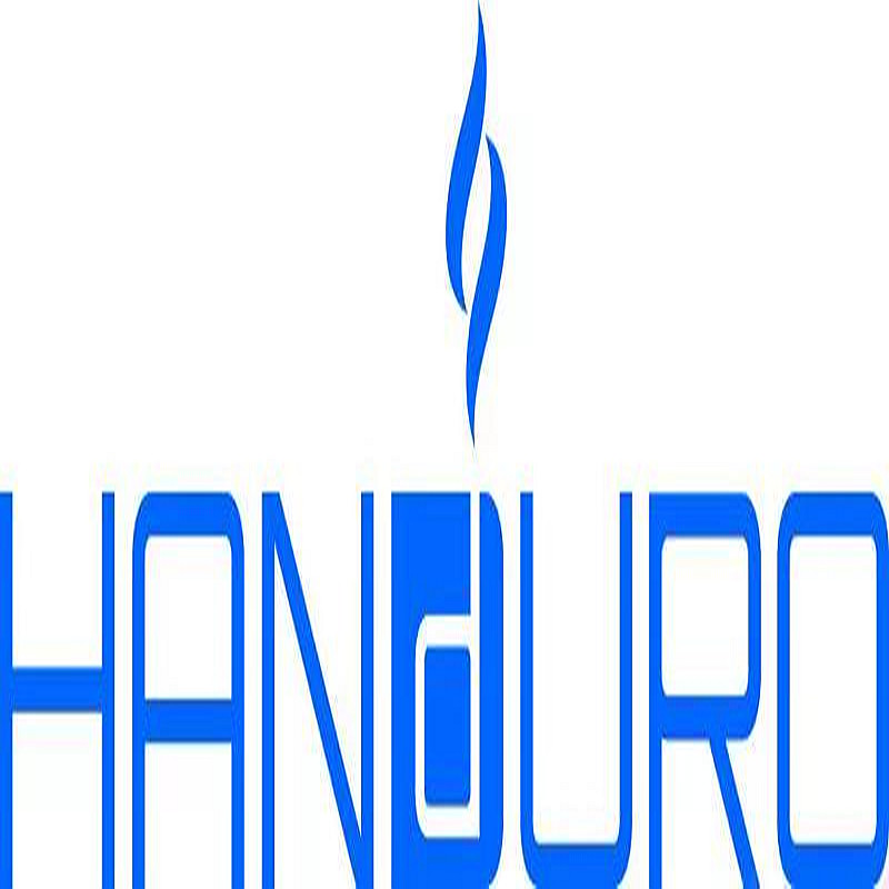 ZHEJIANG HANDE PUMP INDUSTRY CO.,LTD logo