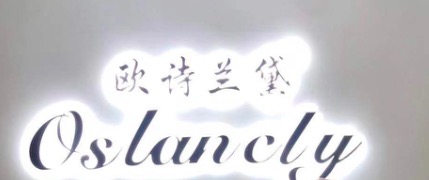 GUANGZHOU OSLANDY LEATHER CO,LTD logo