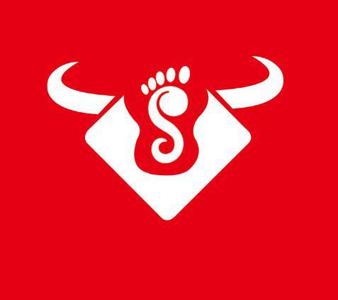 shandong zhuangzhou shoes co.,ltd logo
