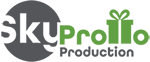 NANJING SKY PROMO CO.,LTD logo