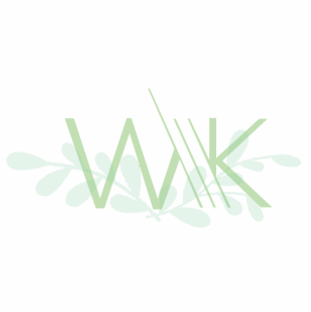 SHAOXING WENKOU IMPORT AND EXPORT CO., LTD logo