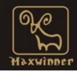 Maxwinner Industrial Co., Ltd logo