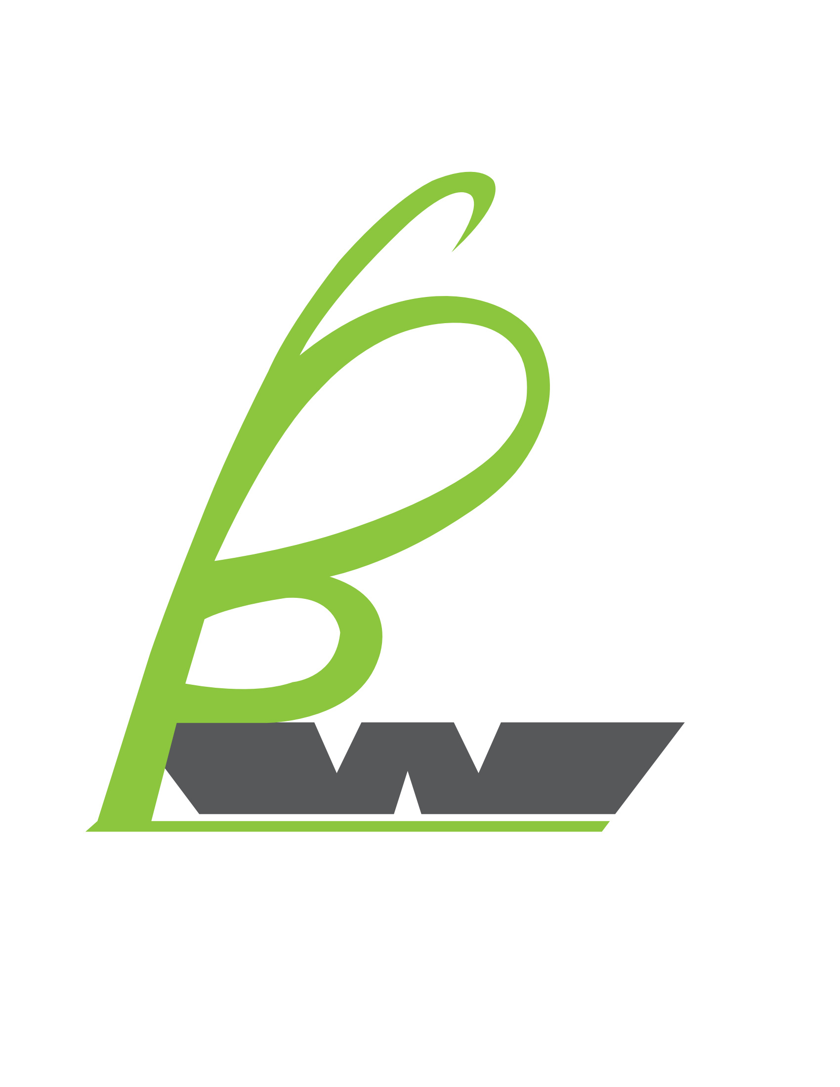 BEST WINGS TRADING CO., LTD logo