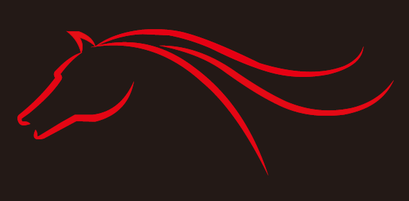 chongqing steed machinery co.,ltd. logo