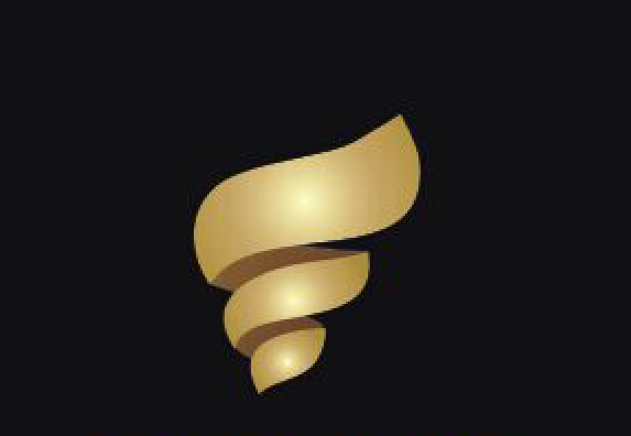 Shaoxing City Ruiqin Garments Co.,Ltd logo
