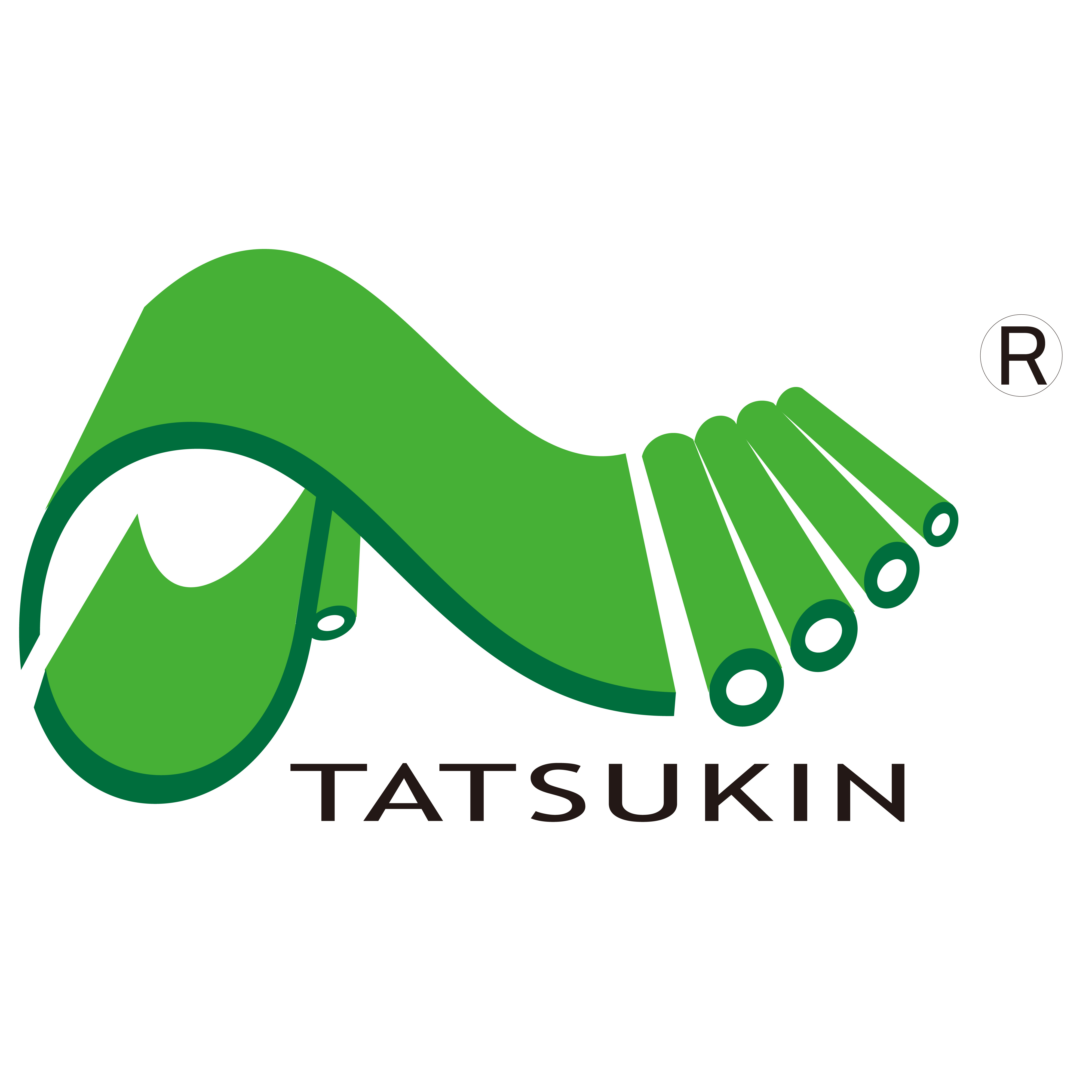 Wuhu Tatsukin New Materials Technology Co.,Ltd logo