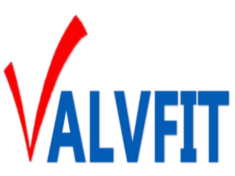 QINGDAO VALVES & PIPE FITTINGS CO., LTD logo
