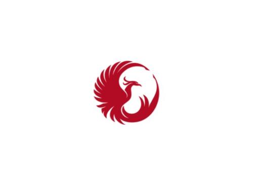 SHANTOU HENGLIDA FASHION CO.,LTD logo