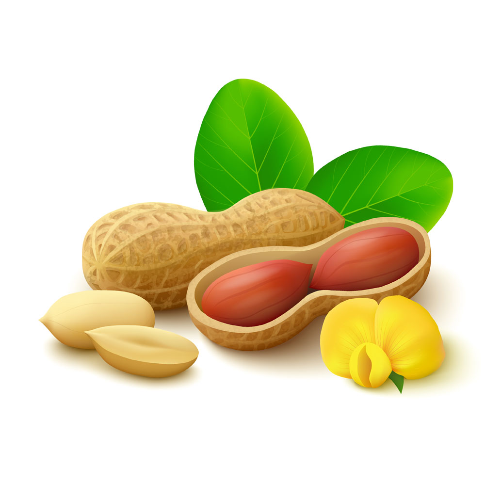 JUNAN HONGSHUO FOOD CO., LTD logo