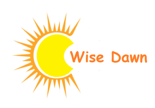 HANGZHOU WISE DAWN TRADING CO.,LTD. logo