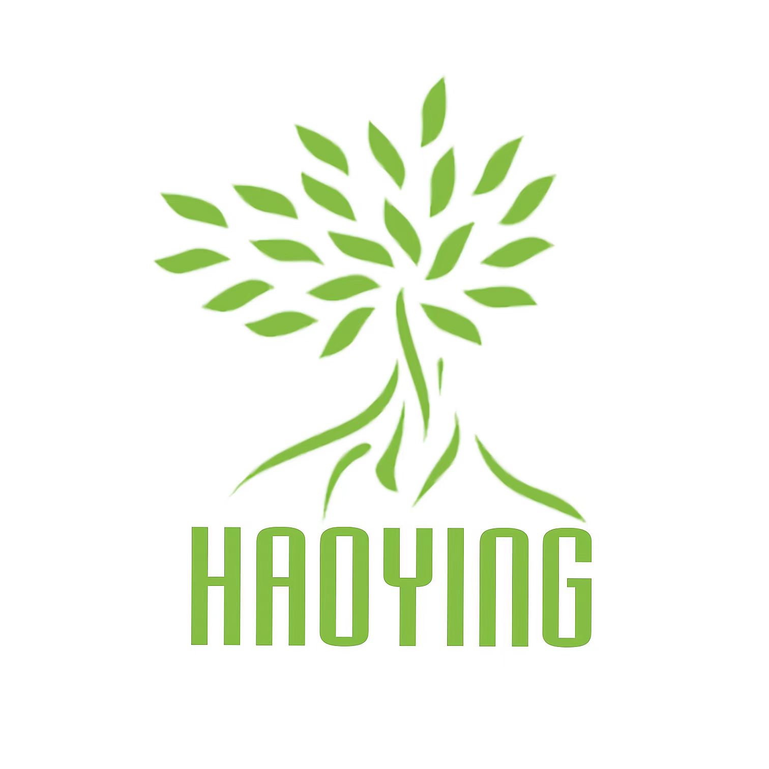 Changzhou Haoying Electronics co., Ltd. logo