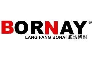 Langfang Bonai EP Tech Co., Ltd. logo