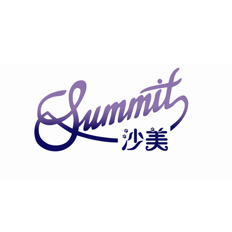 DALIAN SUMMIT LIFE COMMODITIES CO., LTD. logo