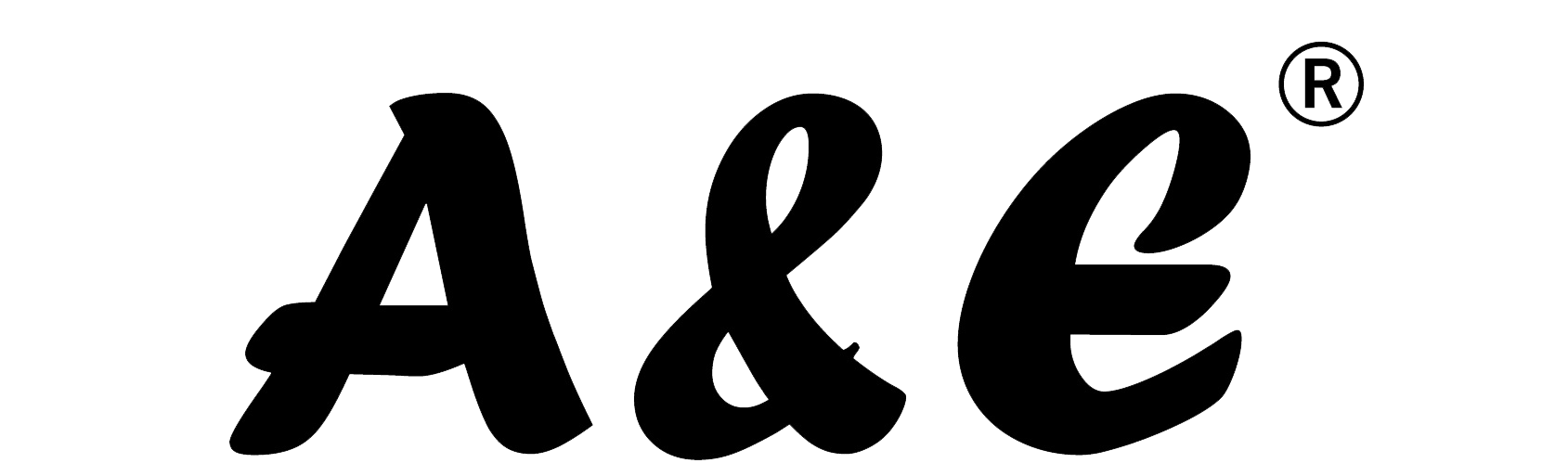 WENZHOU AIE INDUSTRY AND TRADE CO.,LTD logo