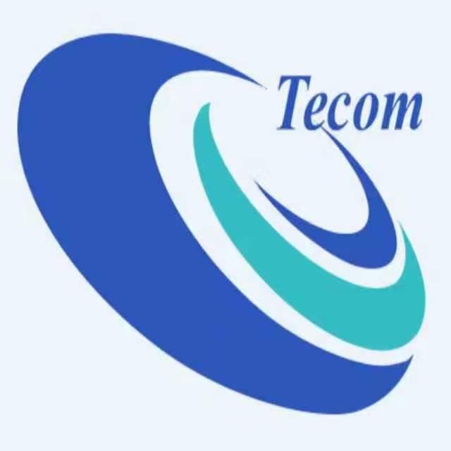 Renqiu City TECOM Electronics co.,Ltd logo