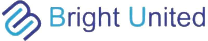 BRIGHT UNITED INDUSTRIAL COMPANY logo