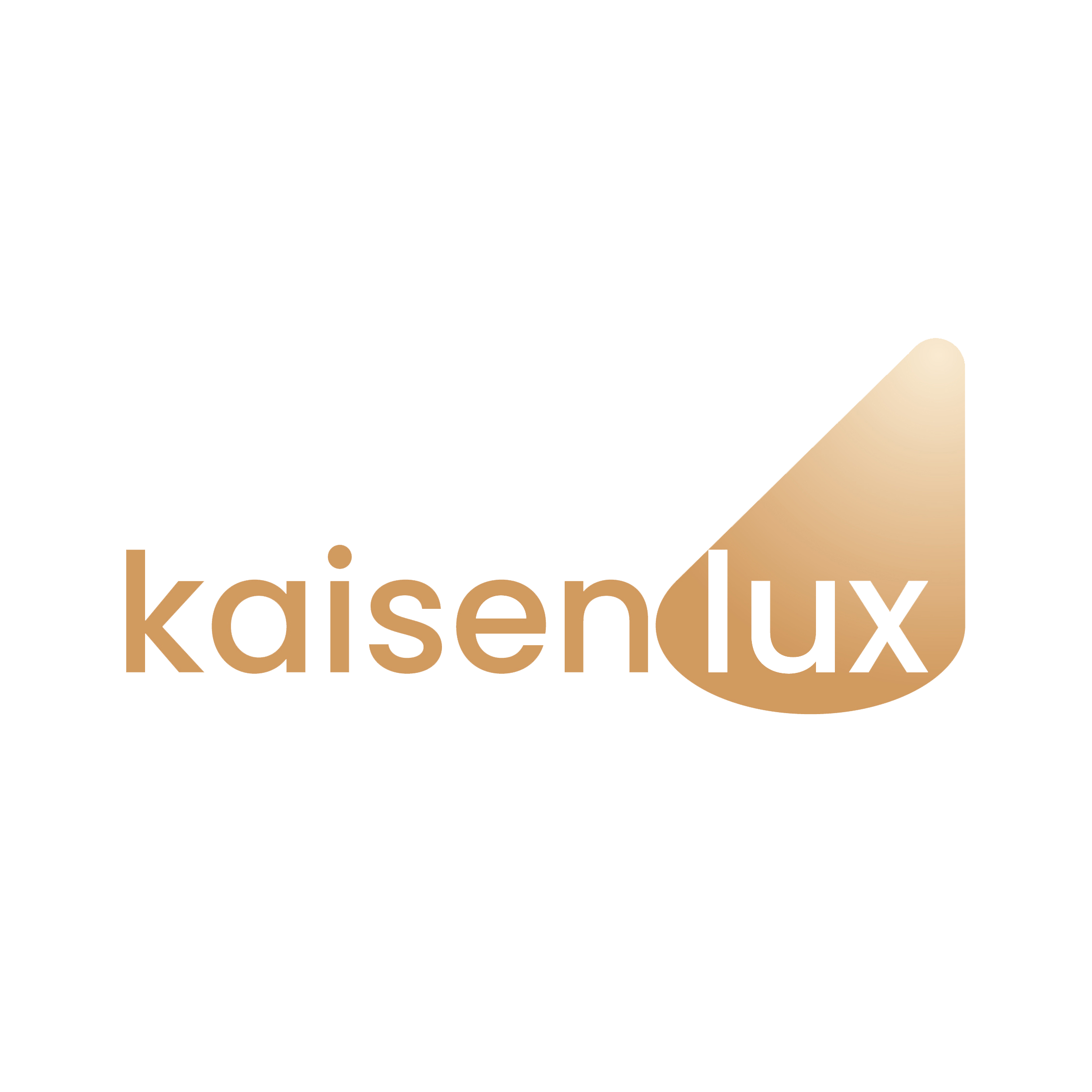 LIAONING KAISENLUX INDUSTRY CO.,LTD logo
