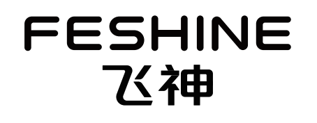 ZHEJIANG FEISHEN VEHICLE INDUSTRY CO., LTD logo