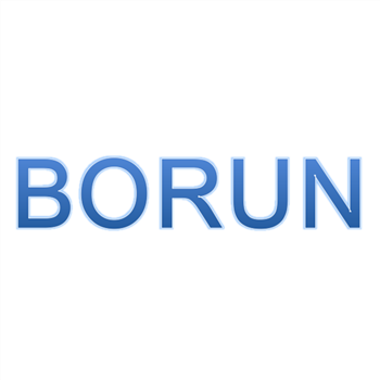 BORUN INTERNATIONAL BUSINESS CO.,LTD logo