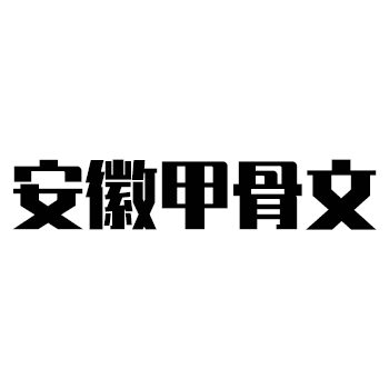 ANHUI ORACLE IMP & EXP CO., LTD logo