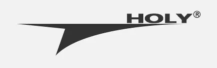 Holy Industries Co., Ltd. logo