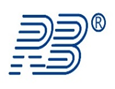 Shandong Ruibin Precision Manufacturing Co., LTD logo