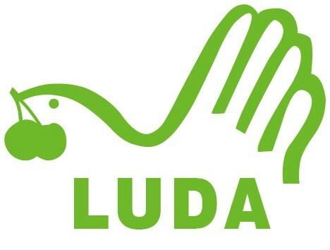 DONGGUAN LUDA INDUSTRIAL CO., LTD logo